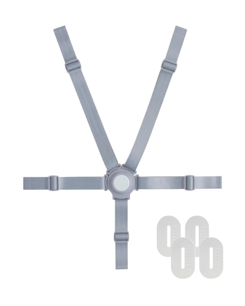5-point safety harness